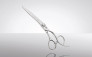Foarfeca de tuns Passion Cobalt Arc offset