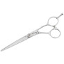 Foarfeca de tuns Passion Avanti offset